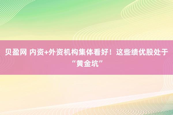贝盈网 内资+外资机构集体看好！这些绩优股处于“黄金坑”