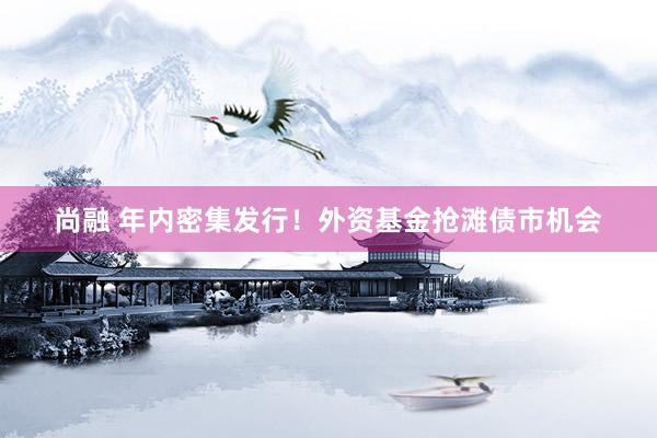 尚融 年内密集发行！外资基金抢滩债市机会