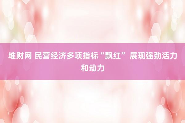 堆财网 民营经济多项指标“飘红” 展现强劲活力和动力
