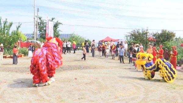 聚美策略 胶州：和睦屯西瓜甜蜜上市 节会经济助农增收