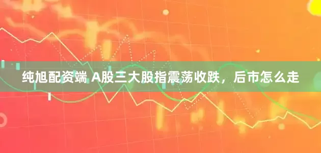 纯旭配资端 A股三大股指震荡收跌，后市怎么走