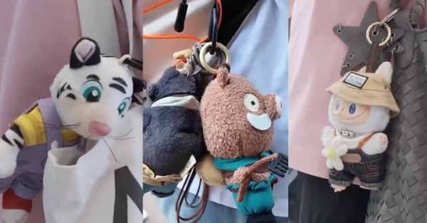 鸿满仓 这届年轻人，为何钟爱“包挂”？